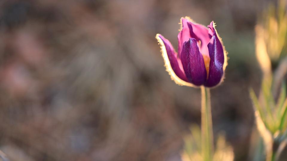 Seltene biblische Jungennamen: Entdecke die besonderen Vornamen aus der Bibel