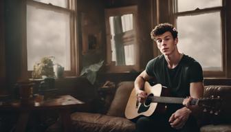 Shawn Mendes: Tour-Abbruch war die richtige Entscheidung