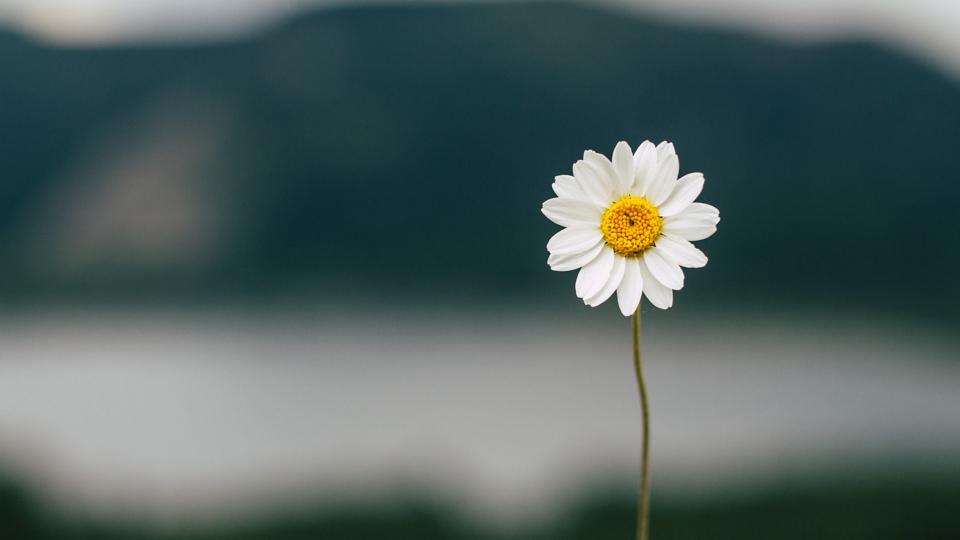 Vorname Lenja: Bedeutung, Ursprung und interessante Fakten